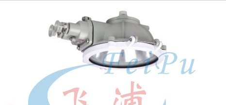 BXL-100系列防爆吸顶灯